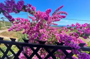 Трёх этажный дом на Кримовице