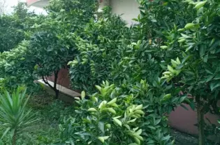 Квартира с двумя спальнями в Баре