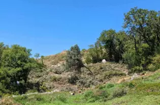 Земельный участок под элитную застройку в Главати