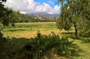 Земельный участок в Каваче