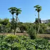 Продажа - Дом - Estepona, Испания