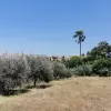 Продажа - Участок - Elviria, Испания