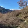 Земля в Баре, Черногория, 17 000 м2