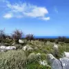 Продажа земельного участка .  Апокоронас, Ханья, Крит, Греция.