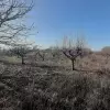 Строительный участок земли в хорошей деревне, в 30 км от Русе